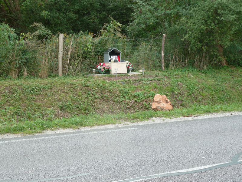 arbres supprimés après un accident